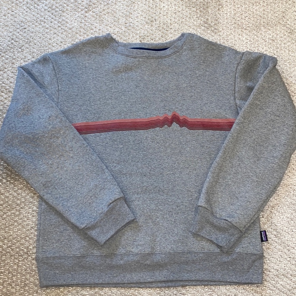 Patagonia crewneck / sweatshirt